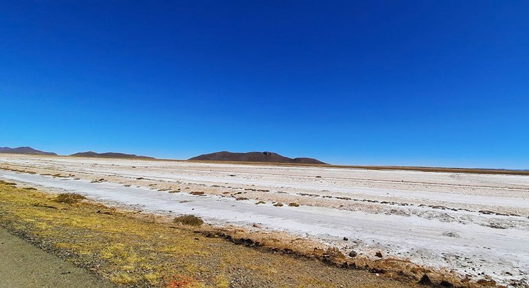 Près d’un milliard d’hectares de sols touchés par la salinisation à travers le monde (FAO)